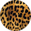 Sassy S. Avatar